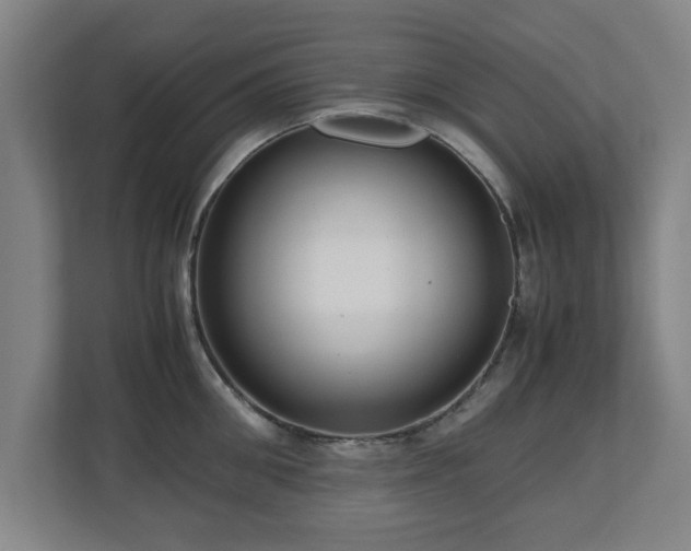 X0000110950906200906191248