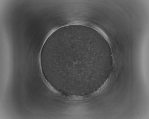 X0000110950907200906191248
