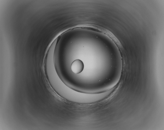 X0000110950908200906191248