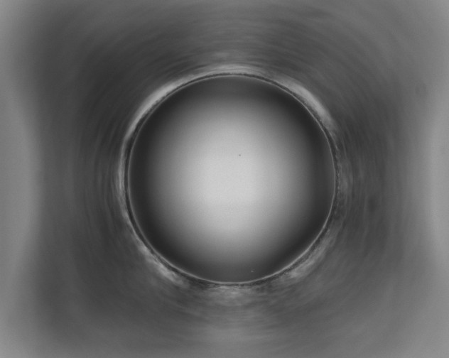 X0000110950910200906191248