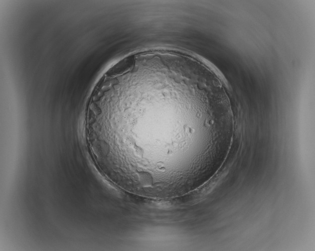 X0000110950911200906191248