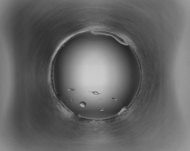 X0000110950912200906191248