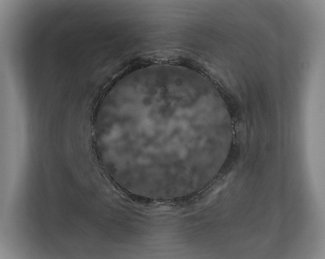 X0000110950913200906191247