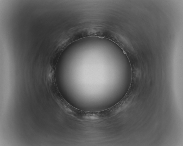 X0000110950914200906191247