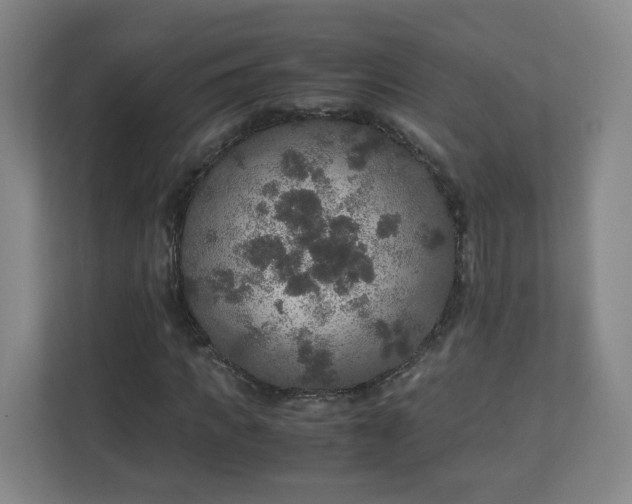 X0000110950917200906191247