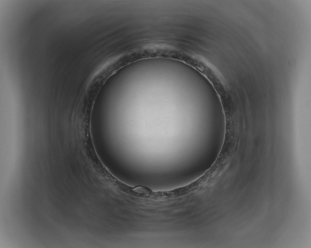 X0000110950919200906191247