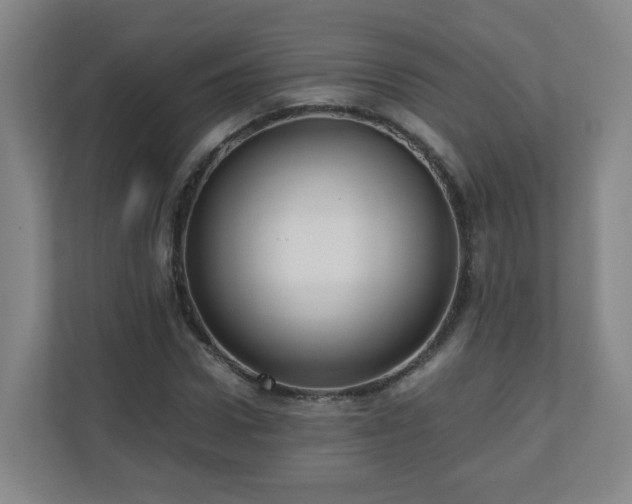 X0000110950922200906191247