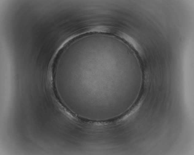 X0000110950923200906191247