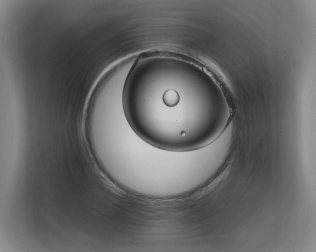X0000110950924200906191247