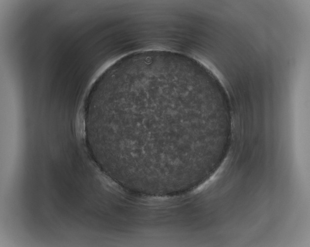 X0000110950925200906191247