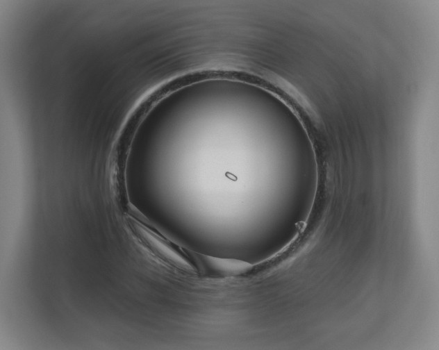 X0000110950926200906191247