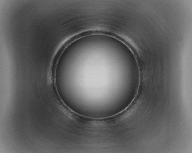 X0000110950927200906191247