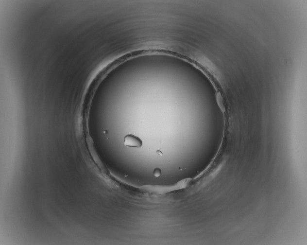 X0000110950928200906191248