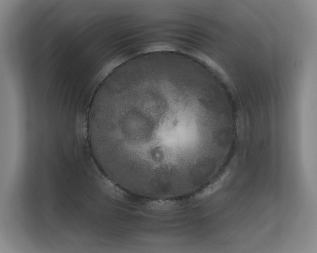 X0000110950929200906191248