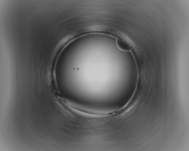 X0000110950930200906191248