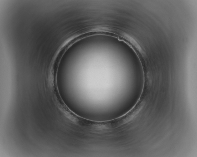 X0000110950931200906191248