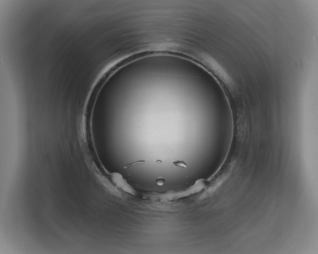 X0000110950932200906191248