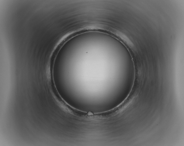 X0000110950934200906191248