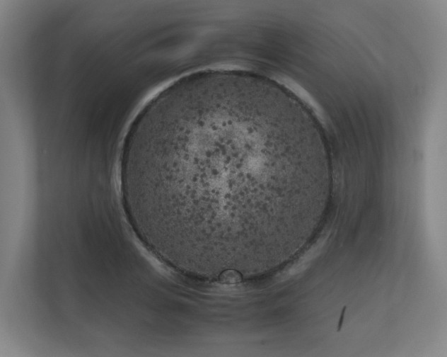 X0000110950935200906191248