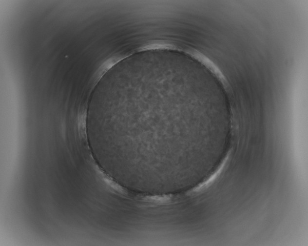 X0000110950937200906191248