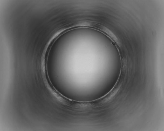 X0000110950939200906191248