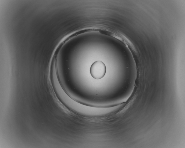 X0000110950940200906191248