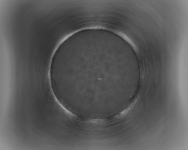 X0000110950943200906191248