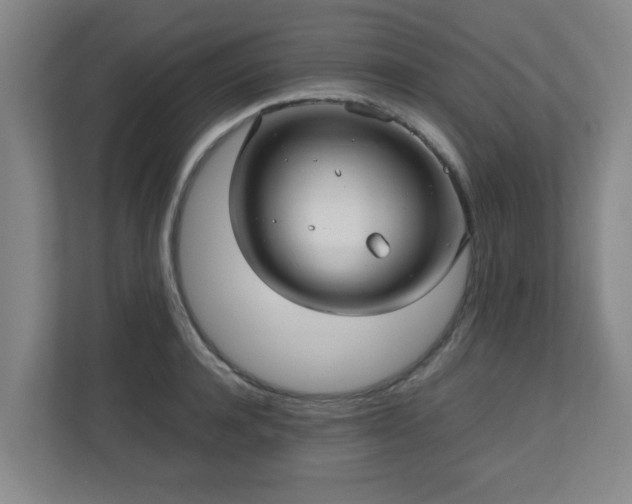X0000110950944200906191248