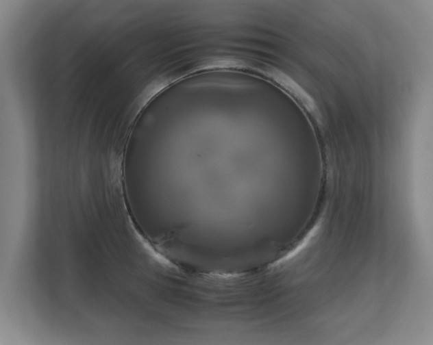 X0000110950945200906191248