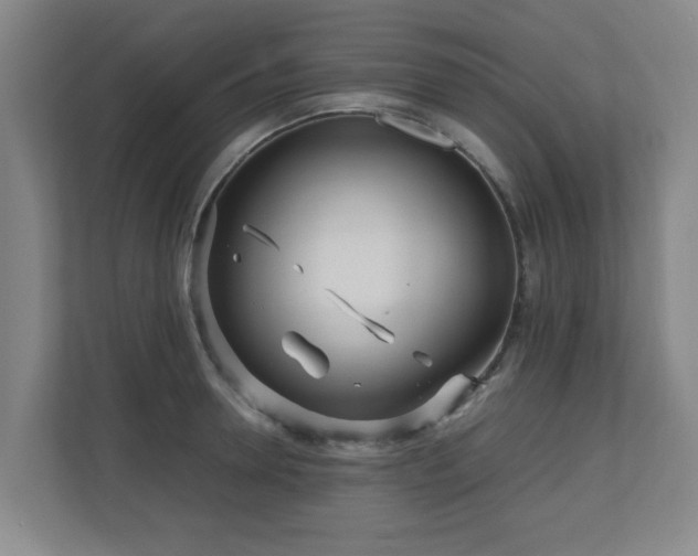 X0000110950946200906191248