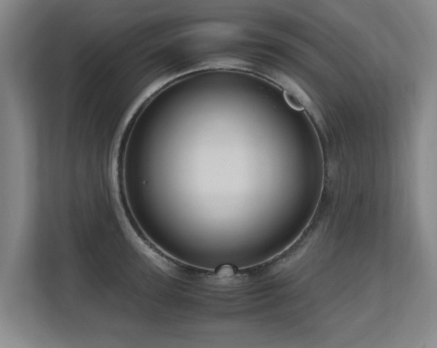 X0000110950947200906191248