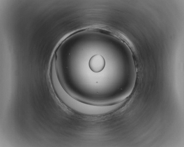 X0000110950948200906191248