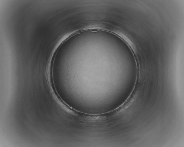 X0000110950949200906191248