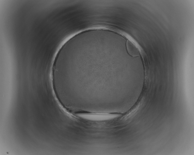 X0000110950951200906191248