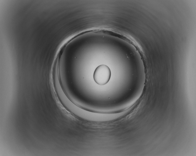 X0000110950952200906191248
