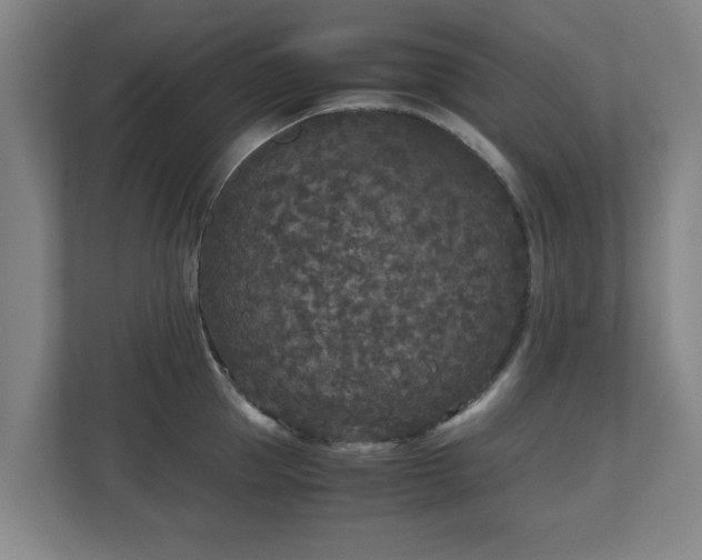 X0000110950953200906191248