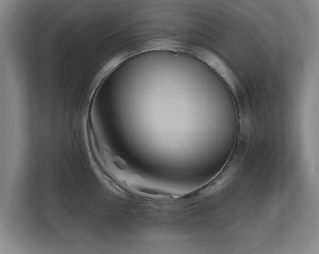 X0000110950954200906191248