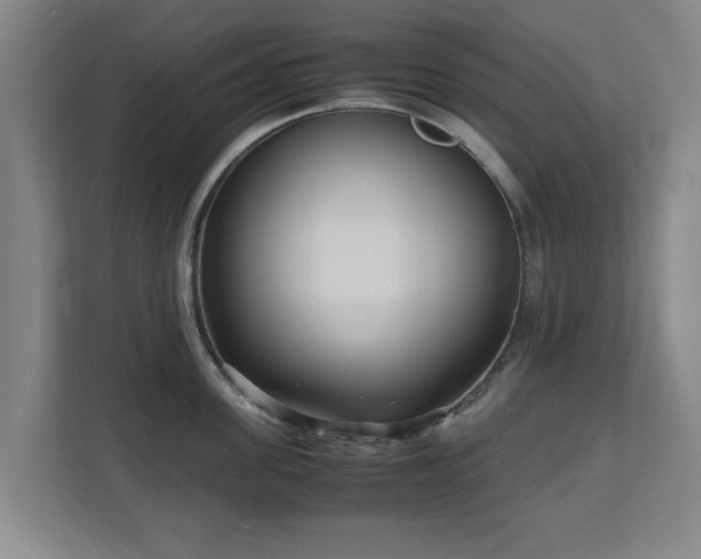 X0000110950955200906191248