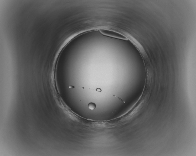 X0000110950956200906191248