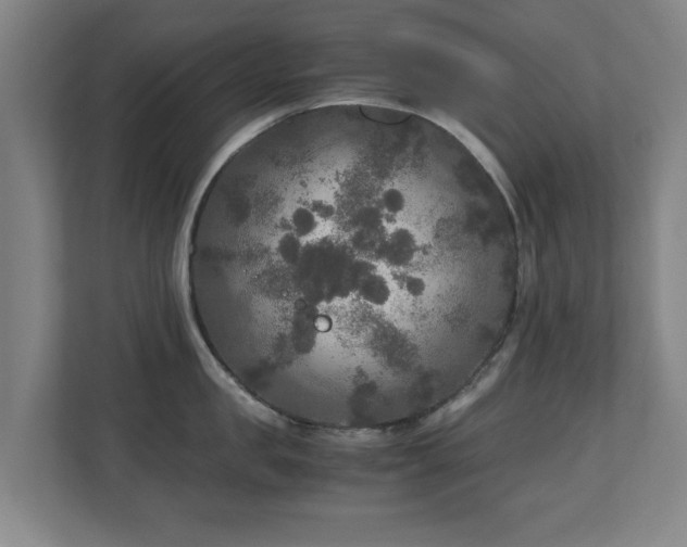 X0000110950957200906191248
