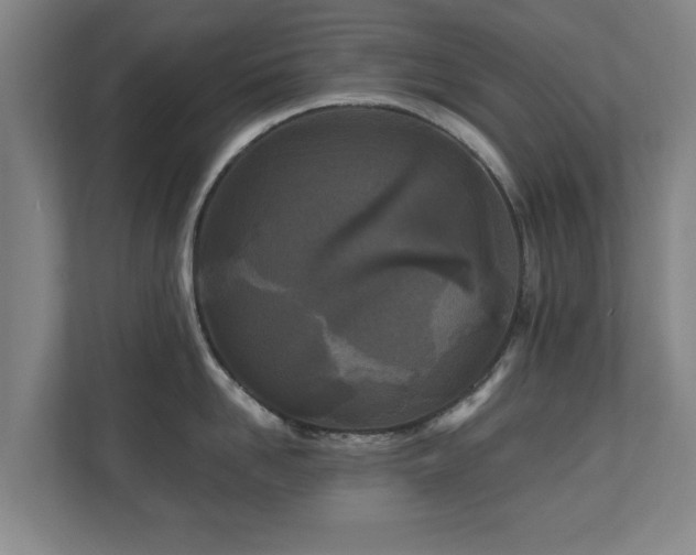 X0000110950958200906191248