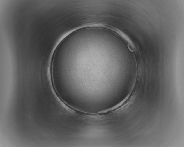 X0000110950959200906191248