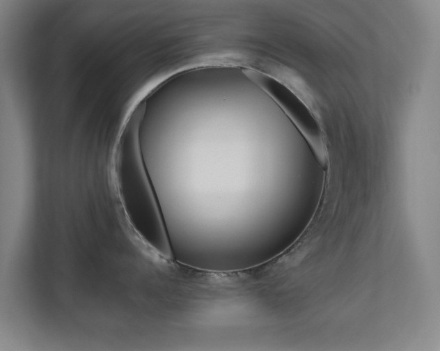 X0000110950960200906191248