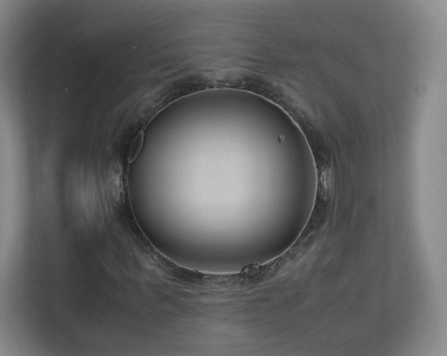 X0000110950963200906191247