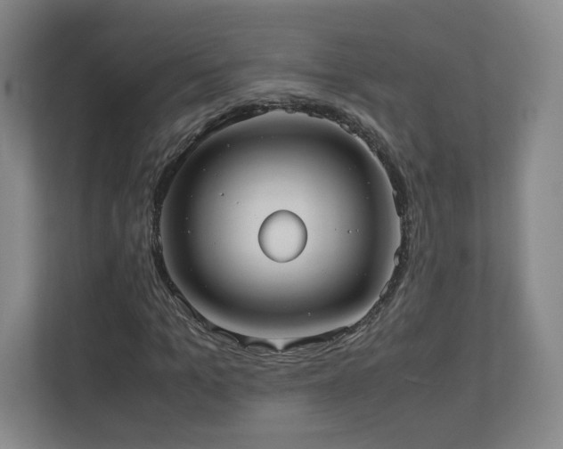 X0000110950965200906191247