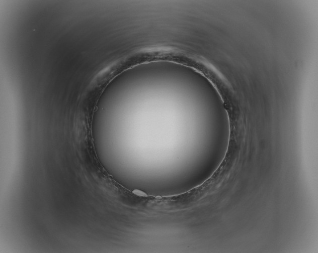 X0000110950967200906191247