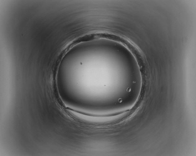 X0000110950969200906191247