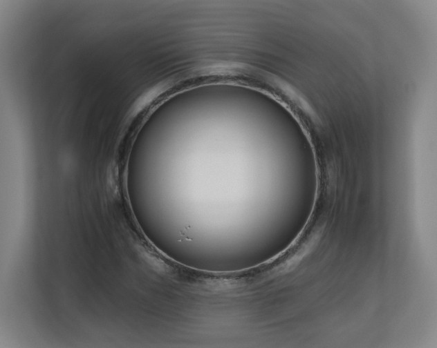 X0000110950970200906191247