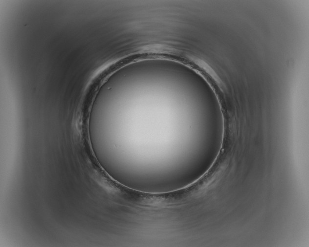 X0000110950971200906191247
