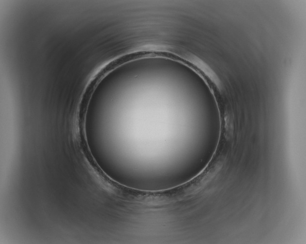 X0000110950972200906191247
